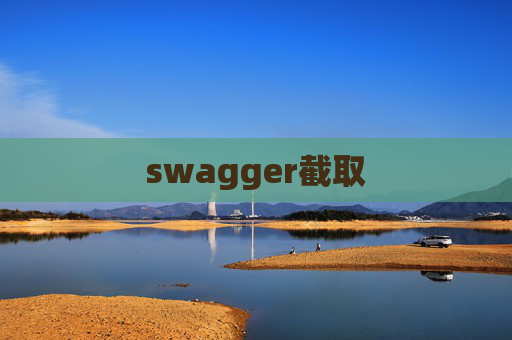swagger截取